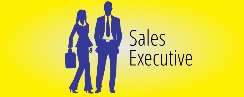 Sales executive