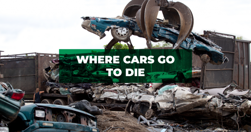 Where cars go to die